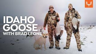 Idaho Goose with Brad Leone | Cal in the Field