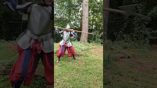 Halberd in Half-Plate
