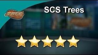 Acworth Tree Service Experts - SCS Trees - Great 5 Star Review by Steve in Acworth GA