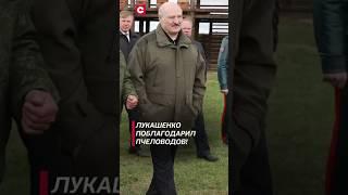 Лукашенко поблагодарил пчеловодов за их труд! #лукашенко #политика #новости #беларусь #свои #мёд