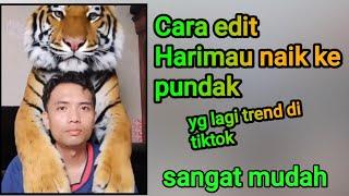 Cara edit Harimau naik ke pundak