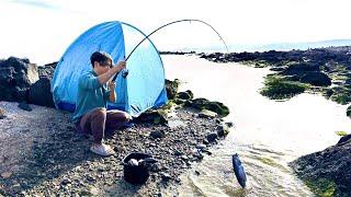 100均だけで釣りキャンプしてみた