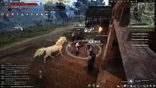 BDO got Imperial Steed Horse Breeding