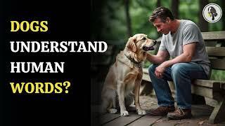 Dogs Understand Human Words? | WION Podcast