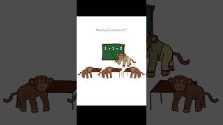 Monkey Economics Pension
