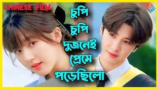 চুপিচুপি দুজনেই প্রেমে পড়ে|Chinese Romantic Drama Explained in Bangla|Hidden Love|WatchOnlineNetflix