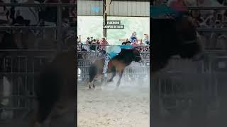 Juanjo pelayo Vs cirujano de las estrellas