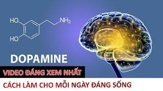 Đây sẽ là một video giá trị nhất mà bạn đã xem - Cách làm cho mỗi ngày đáng sống - Vạn vật giác ngộ