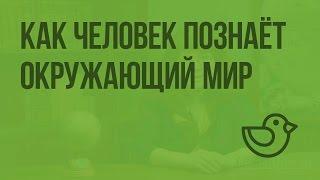 Как человек познает окружающий мир. Видеоурок по окружающему миру 1 класс