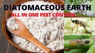 Magic Pest Control for houseplants and garden - Organic