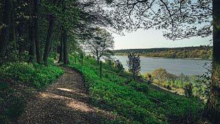 En vandretur om Rørbæk Sø // 15 KM vandrerute // Tinnet Krat, Gudenåen, Rødrygget Tornskade