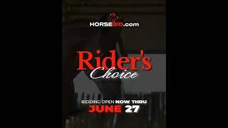 ENDED ️ RIDER'S CHOICE ️ **ending JUNE 27th  on www.horsebid.com**