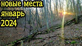 Поиск с металлоискателем, НОВЫЕ МЕСТА 2024!