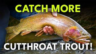 Fly Fishing for Cutthroat Trout: The Complete Guide | Ep. 129