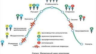 Жизненные циклы организации и оргструктура бизнеса