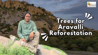 Trees for Aravalli Reforestation.