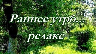 Раннее утро - Релакс, успокаивающая музыка, позитивный настрой на весь день