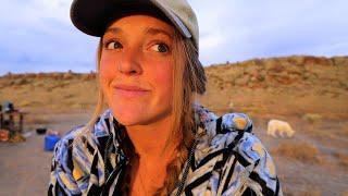 Life Off The Grid | VanLife meets Homesteading