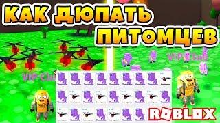 КАК ДЮПАТЬ ПИТОМЦЕВ В РОБЛОКС СИМУЛЯТОР ДИНО ПИТОМЦЕВ! ROBLOX DINO PET SIMULATOR