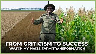 From Criticism to Success: Witness the Spectacular Transformation of My Hand-Planted Maize Farm