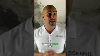 Test for Black Mold at Home in 5 Minutes