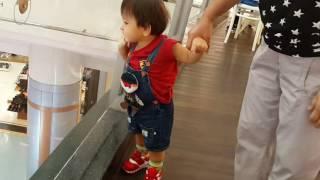 Alex Prin Braun with grandma at the mall. (14 month  old)