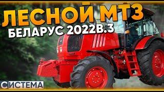 ЛЕСНОЙ МТЗ ДЛЯ РАБОТЫ С МУЛЬЧЕРОМ // Беларус 2022 // Мульчерный комплекс // Расчистка от ДКР