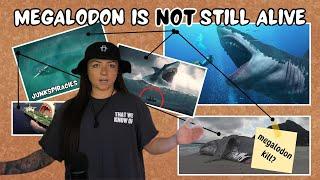 JUNKSPIRACIES: Megalodon is (NOT) still alive