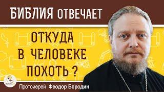 Откуда в человеке ПОХОТЬ ?  Протоиерей Феодор Бородин