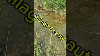 Village Nature #viralvideo #shorts