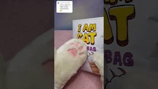 I am cat vr blind bag #asmr #iamcat #vr #creative #unboxing #youtubeshorts #diy #blindbag #craft