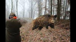 10 САМЫХ Удачных Выстрелов на ОхотеTop 10 shoots Hunting