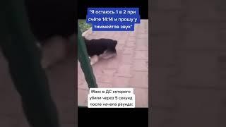 Тикток мемы #1   #shorts  #приколы  #memes  #shortmeme  #приколы2021 Подпишись! плиз