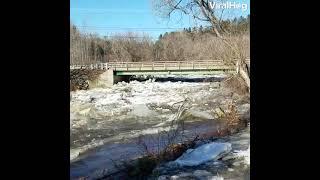 Viral Video 272 - An ice dam broke up the river