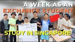 Studying in Singapore as an Exchange Student | Spring College International