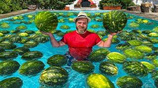 Delicious Cocktail and Salad Of Juicy Watermelon! The Most Long-Awaited Dessert Of The Summer