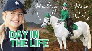 Day in the Life with 4 Horses! Clipping + Riding! ad