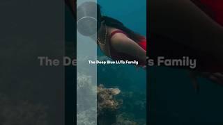 Deep Blue LUTs Family. see link in bio to learn more. #underwater #colorgrading