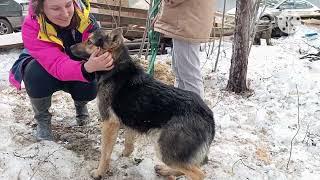 наш трусливый ромка нашел себе семью