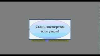 Как стать экспертом в своем деле