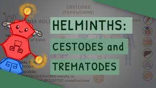 Helminths: Cestodes and Trematodes (transmission, clinical importance, and treatment)