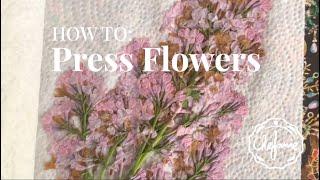 How to Press Flowers in a Book