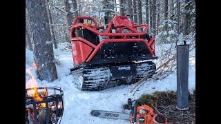 Järnhästen Essence i djup snö drar björkstockar