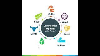 EUDR regulation on deforestation-free products #eudr
