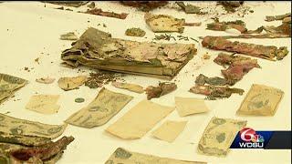 Time capsule from Beauregard Pedestal opened