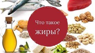 Что такое жиры? Их виды и различия