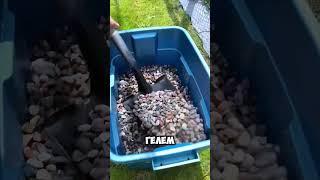 Лайфхак как бороться с травой у забора