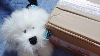 Unboxing more Non-Webkinz