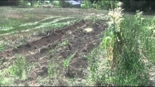 LifeInVT potato harvest 8/1/2012 John Deere 2520 Middle buster plow