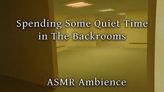 Spending Some Quiet Time in The Backrooms [ASMR Ambience]